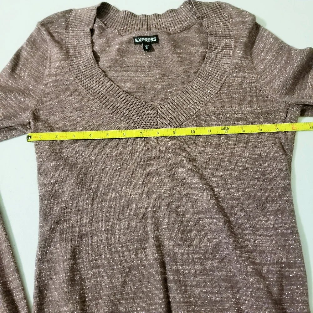 Express Pink Mauve Shimmer Vneck Longsleeve Banded Blouse Medium